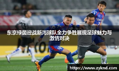 东京绿茵迎战新泻球队全力争胜展现足球魅力与激情对决